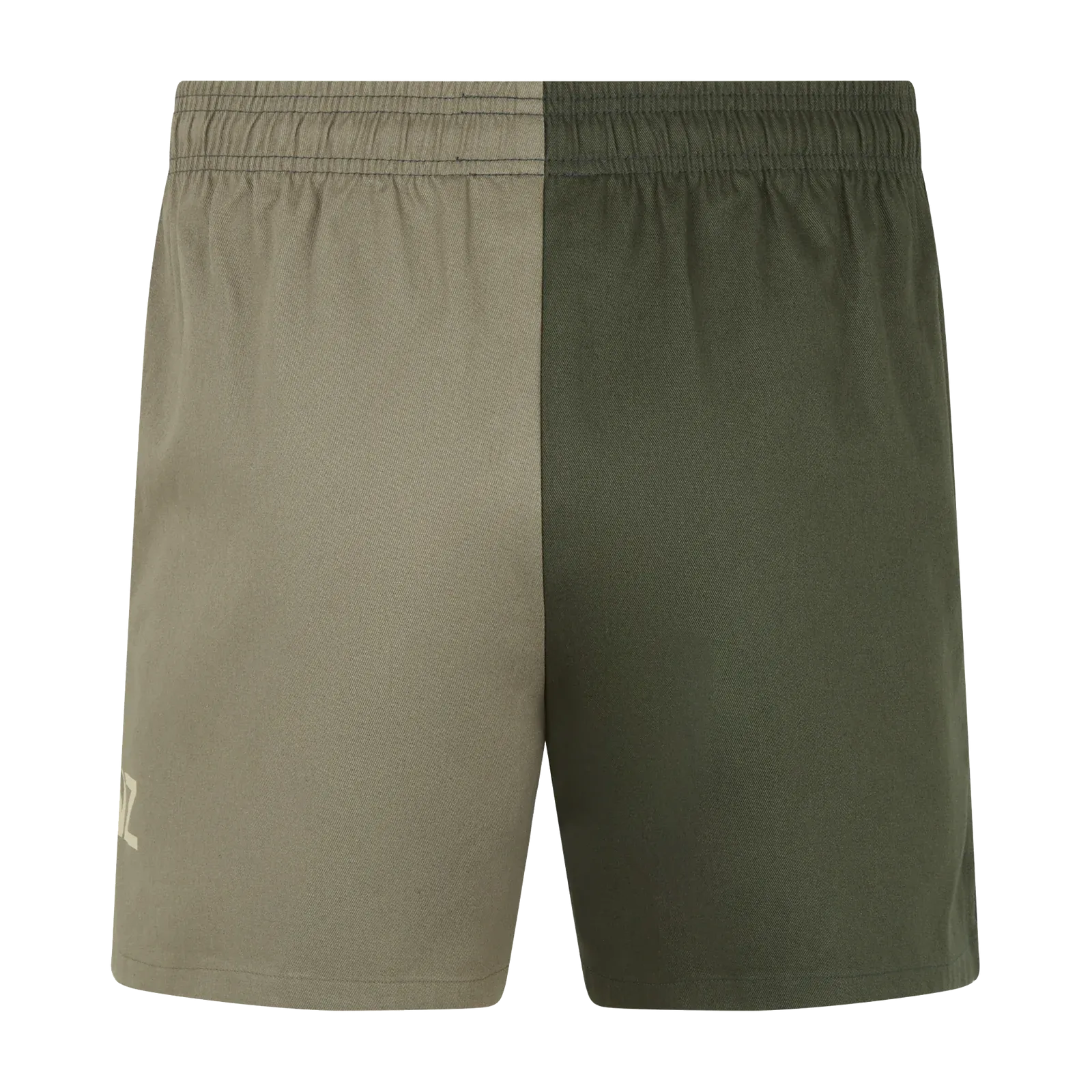 Ridgeline Backslider Shorts